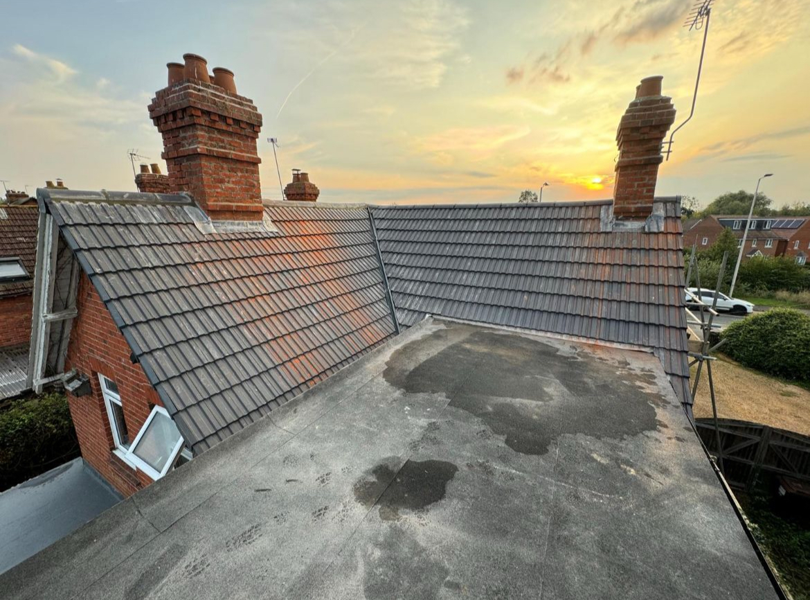 Profile: Image 3